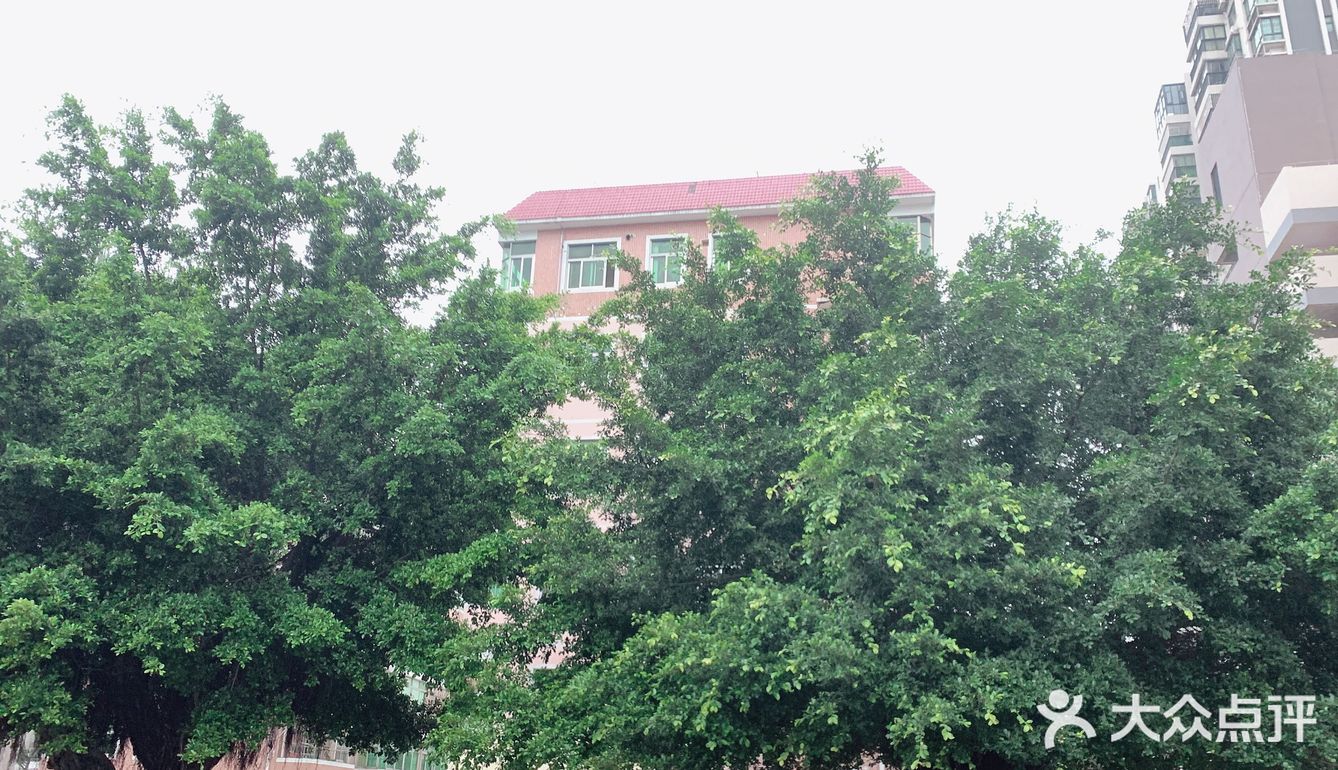 探店打卡｜春天踏青赏景喝咖啡是美好的享受