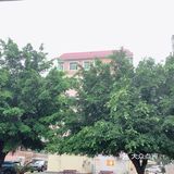 探店打卡｜春天踏青赏景喝咖啡是美好的享受