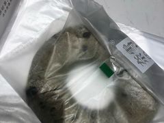 -奈雪的茶(新天地广场PRO店)