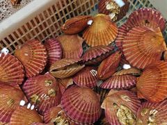 -和源祥·日照菜扛把子(万平口一店)