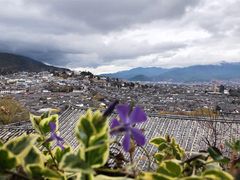 -丽江古城第一观景台