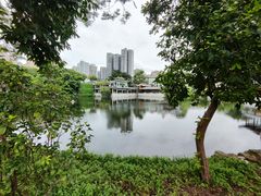 -荔湾湖公园