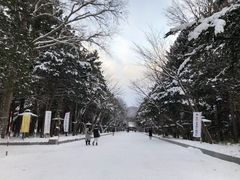 -北海道神宫
