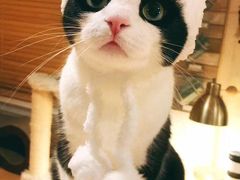 -螺世纪螺蛳粉·桂味小排档(裕德店)