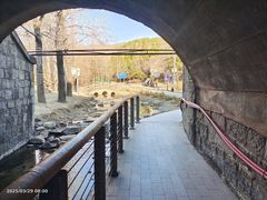 -白水寺森林公园