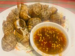 -卷心菜和避孕套餐厅(Pattaya)