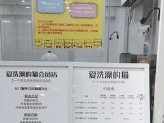 -爱洗澡的猫(天河路店)