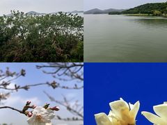 -金沙湖旅游度假区