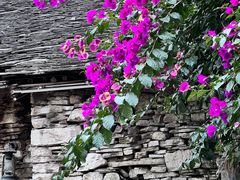 -高荡千年布依古寨旅游景区