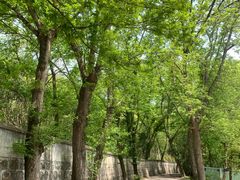 -上海佘山国家森林公园天马山园