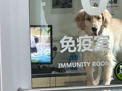 -谐和益家动物医院·免疫绝育·血液透析·宠保定点医院(高新伊藤分院)