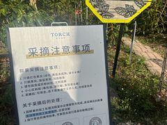 -Torch Coffee 炬点咖啡