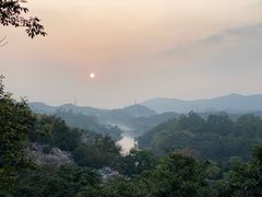 -天鹿湖森林公园