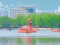 -莲花池公园