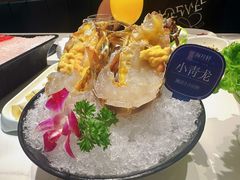 -海月轩海鲜豆捞(紫金塔店)