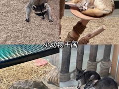 -海合安武汉极地海洋公园