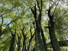 -上海市保健医疗中心