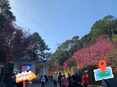 -广州市帽峰山景区
