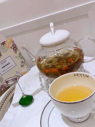 -奥斯芬欧系贵族SPA