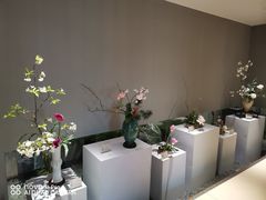 -汉艺唐风茶艺培训(联发华美空间店)