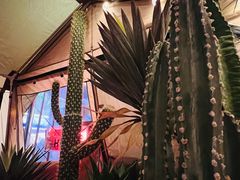 -HIHE Bistro·Oyster Bar(华熙live店)