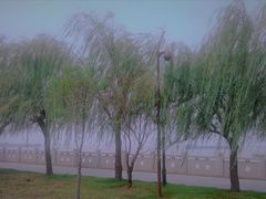 -巴陵广场