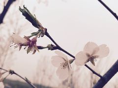 -兴安湖生态运动公园