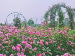 -尚贤河湿地