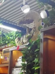 -灵彩珠宝(朗香街店)