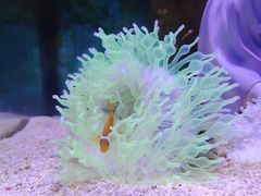-合肥海洋世界