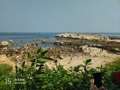 -养马岛旅游度假区
