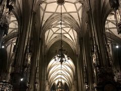 -斯蒂芬主教座堂(Stephansdom)