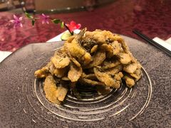 -新聚丰菜馆(太监弄店)