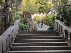 -乌山风景区