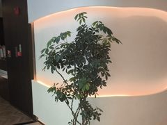 -小仙女采耳·按摩·SPA(深圳旗舰店)