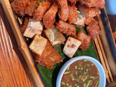 -菌自由丨野生菌火锅特色庭院餐厅(丽江古城店)