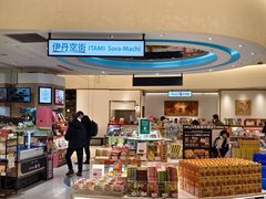 -大阪国际机场