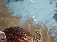 -台州海洋世界