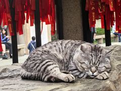 -无锡惠山寺