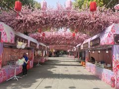 -南汇桃花村