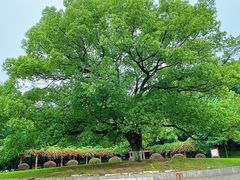 -团城山公园