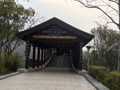 -长广溪湿地公园