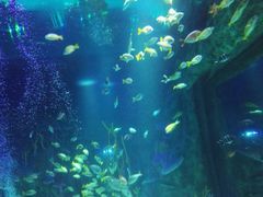 -沈阳海洋探索中心