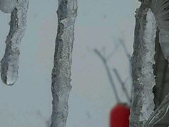 -梧桐餐厅(泉城路店)