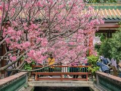 -宝墨园景区