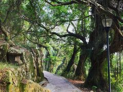 -青芝山风景名胜区
