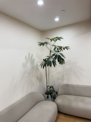 -HEYAN荷妍专业脱毛连锁机构