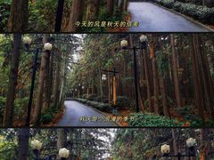 -冶父山国家森林公园