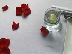 -梧桐