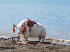 -青海湖国家重点风景名胜区
